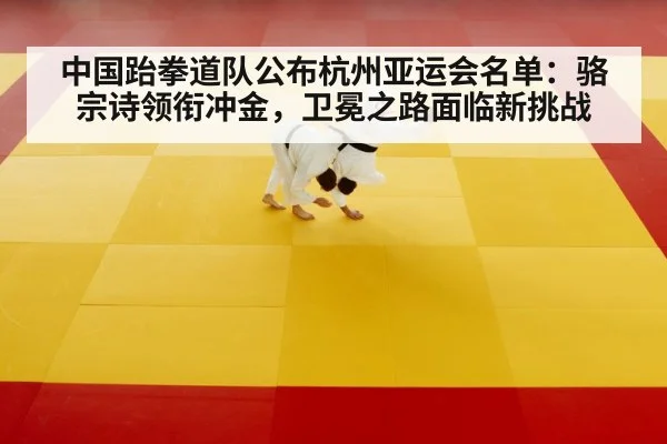 taekwondo competitor